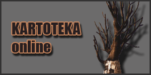 Kartoteka online