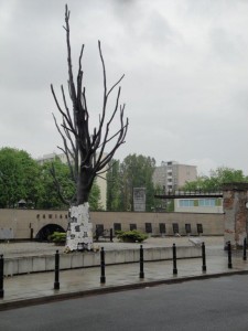 Pomnik Drzewa Pawiackiego