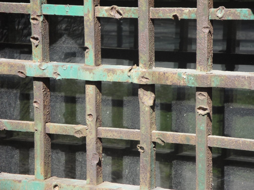 12794851_756529424483621_5192564731539534366_o